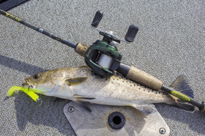 Best Baitcasting Reel For Speckled Trout And Redfish