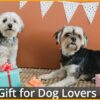 gift for dog lovers asobubottle.com