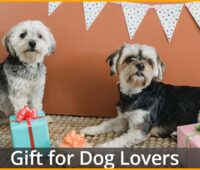 gift for dog lovers asobubottle.com