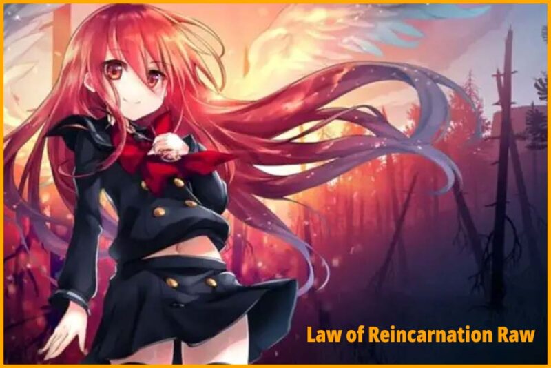 law of reincarnation raw