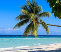 Jamaica