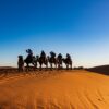 Sahara Desert