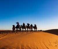 Sahara Desert