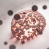 Stem Cell