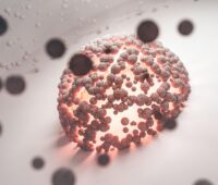 Stem Cell