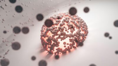 Stem Cell