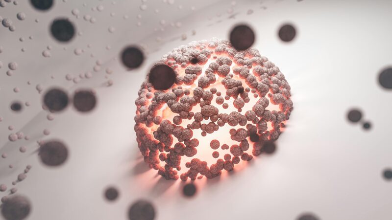 Stem Cell